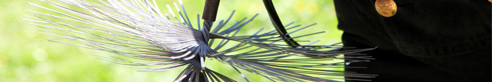 Banner - René Schuster